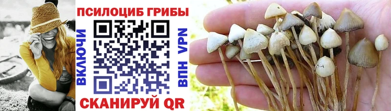 что такое наркотик  Тара  Галлюциногенные грибы прущие грибы 