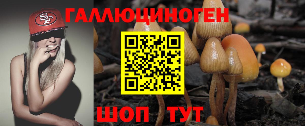 Галлюциногенные грибы мицелий Тара